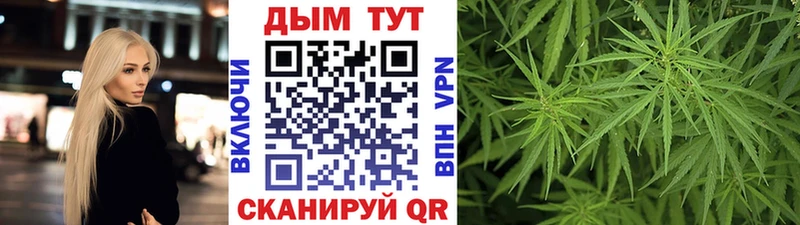 купить  цена  Лебедянь  Конопля индика 